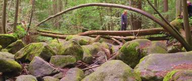 Ausflugsziele Bayerischer Wald Oberpfalz Höllbachtal Wandergebiet Ausflugsziele Bayerischer Wald Oberpfalz Höllbachtal Wandergebiet