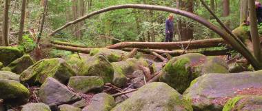 Ausflugsziele Bayerischer Wald Oberpfalz Höllbachtal Wandergebiet