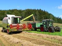 Bauernhofurlaub im Bayerischen Wald - Ernte und Traktor fahren Bauernhofurlaub im Bayerischen Wald - Ernte und Traktor fahren